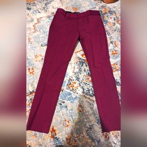 Dress Pants